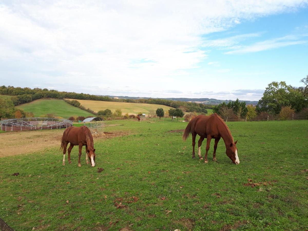 Domaine D'escapa Vakantiepark Estipouy